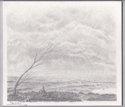 ...d‘aprés Léonard de Vinci...dessin de 1985